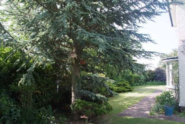 Sunnycroft Bed & Breakfast garden